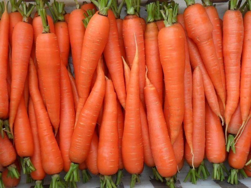 carrots